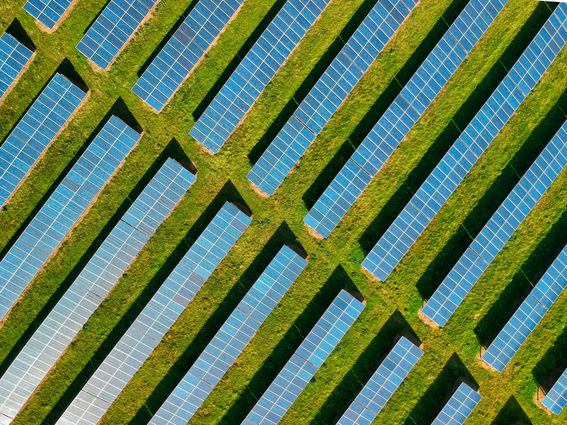 Solar panel array representing renewable energy and sustainable business utilities